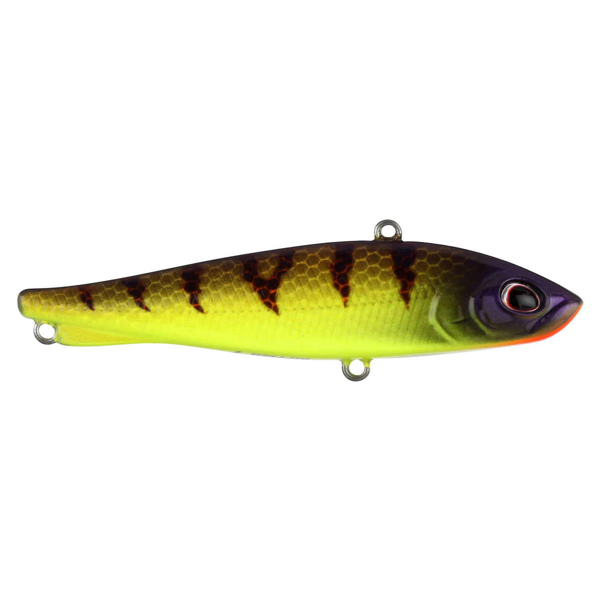 Berkley Ripfish