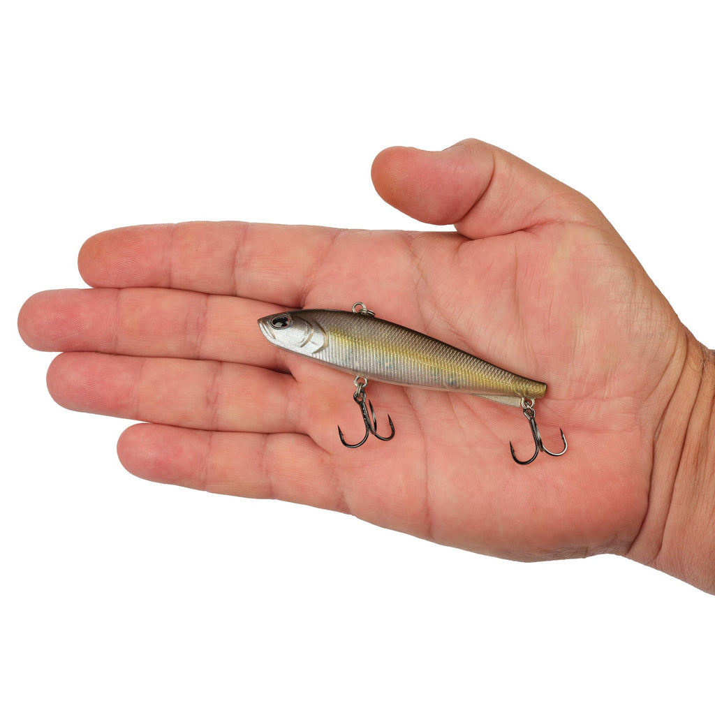Berkley Ripfish