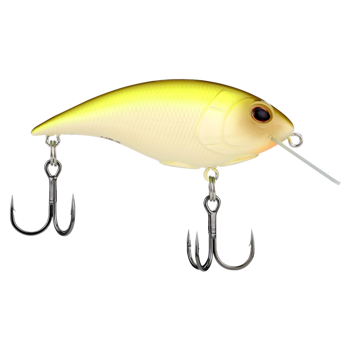 Berkley Shallow Money Badger