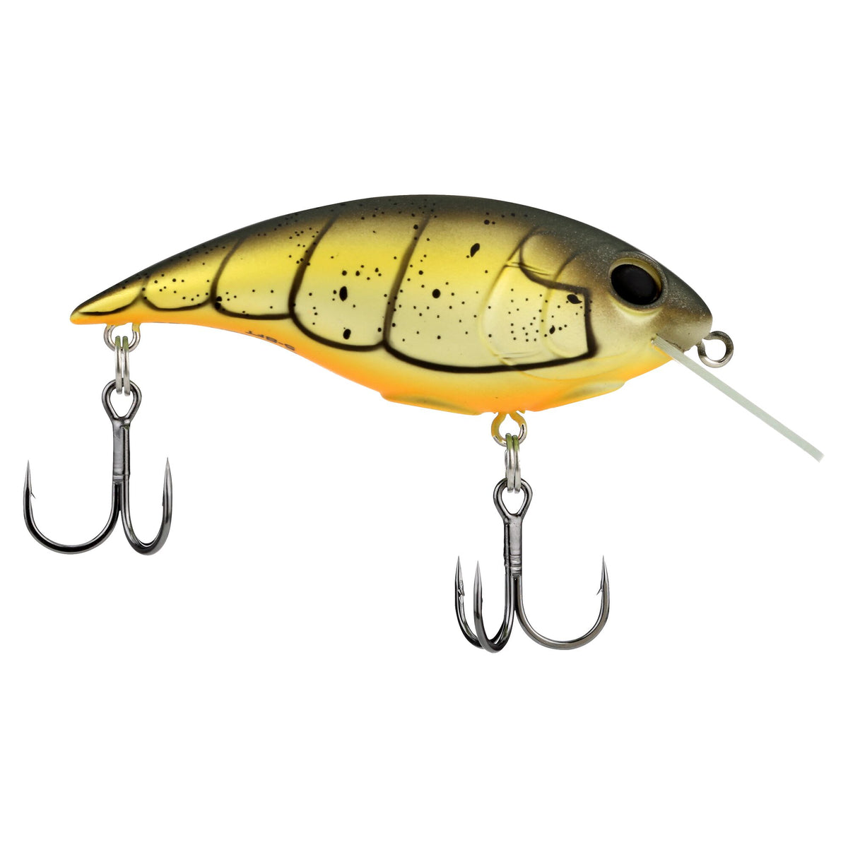 Berkley Shallow Money Badger