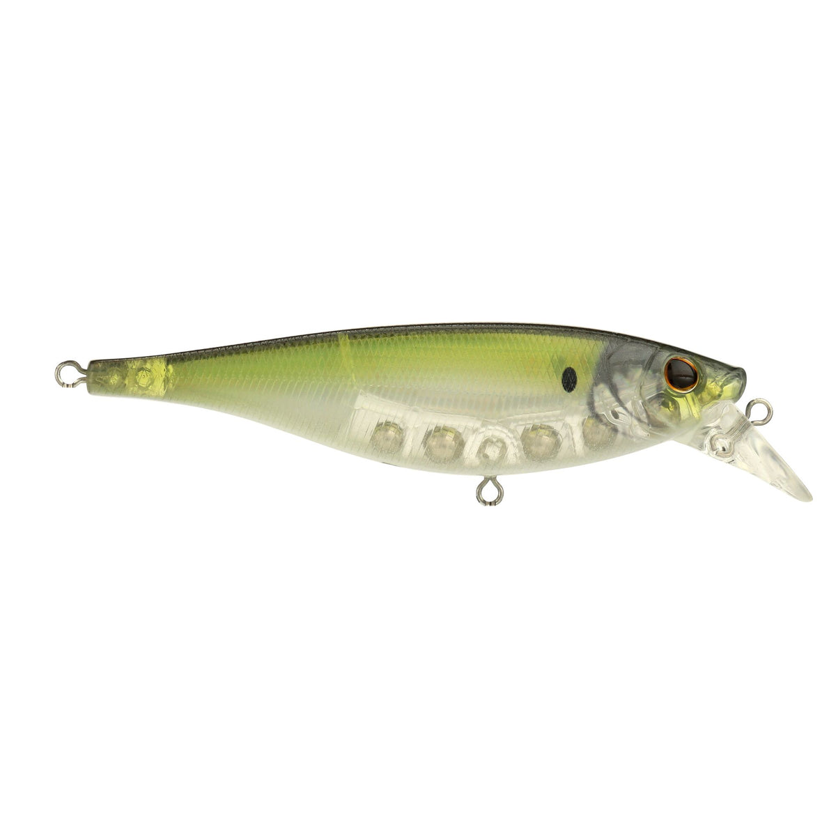Berkley Juke Saltwater