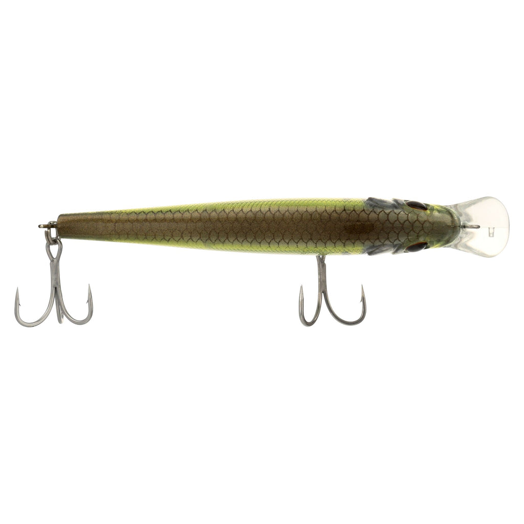 Berkley Juke Saltwater