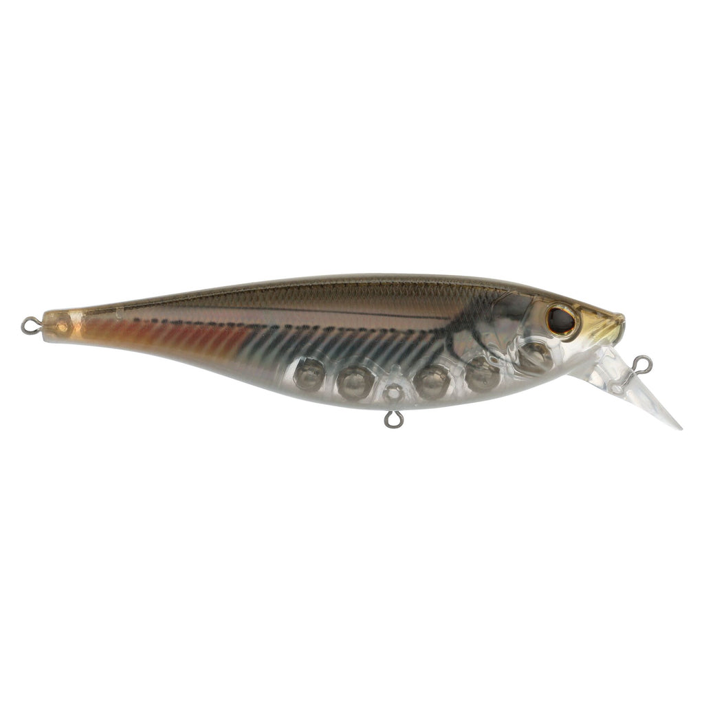 Berkley Juke Saltwater