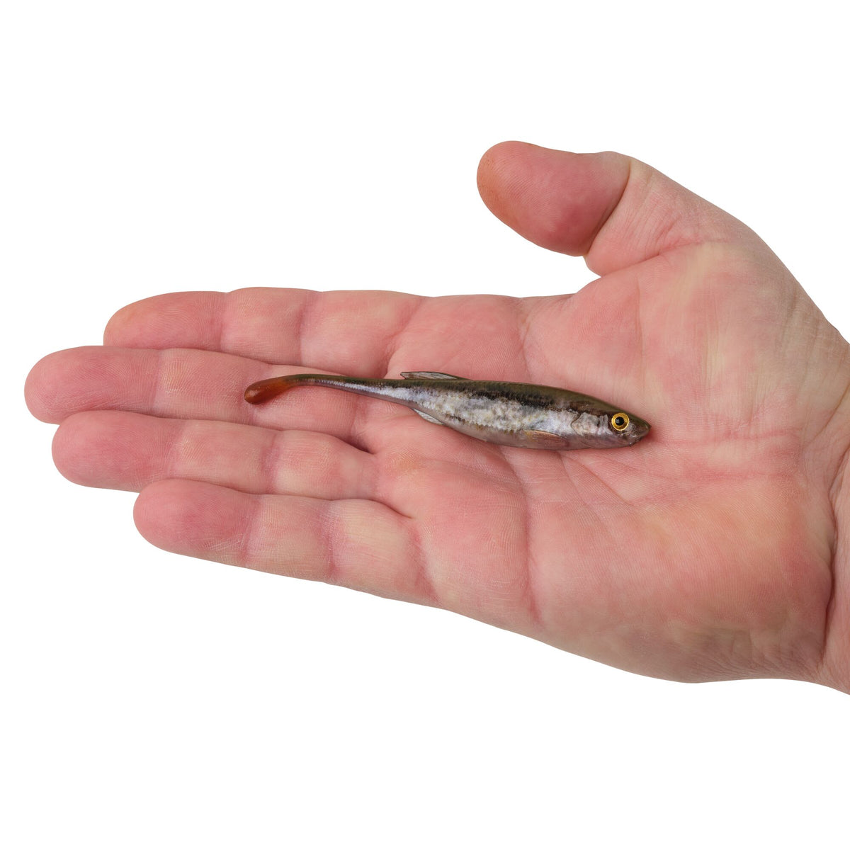 Berkley PowerBait® Drip Minnow