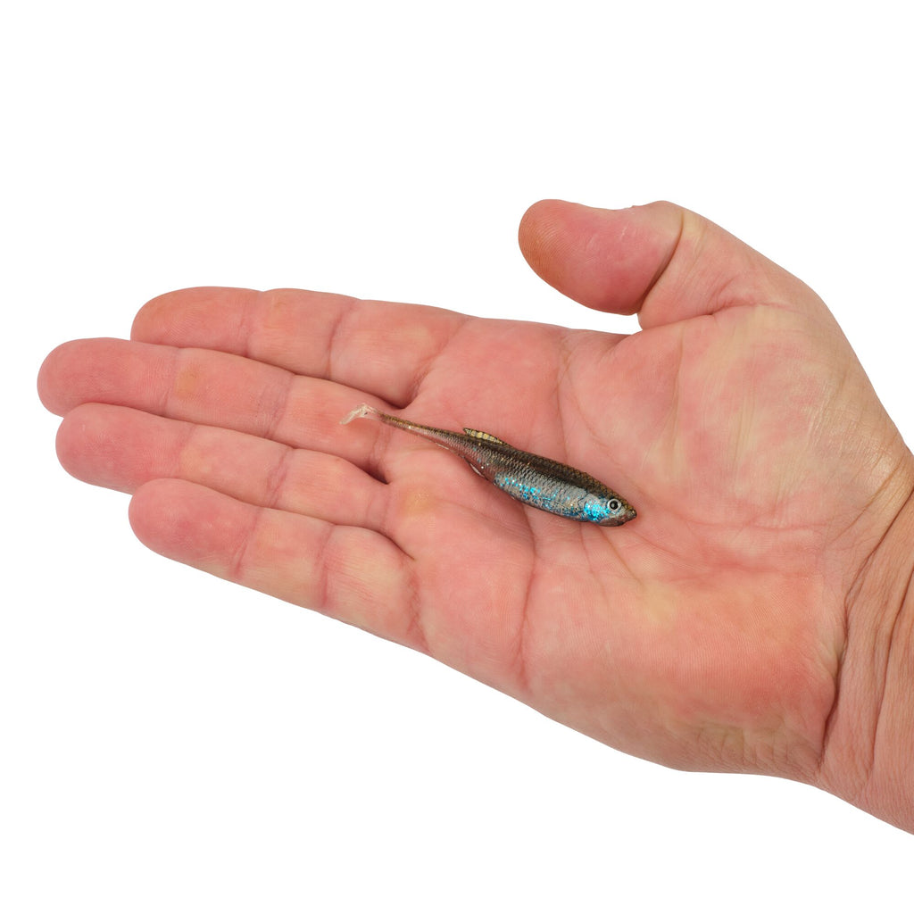 Berkley PowerBait® Drip Swimmer