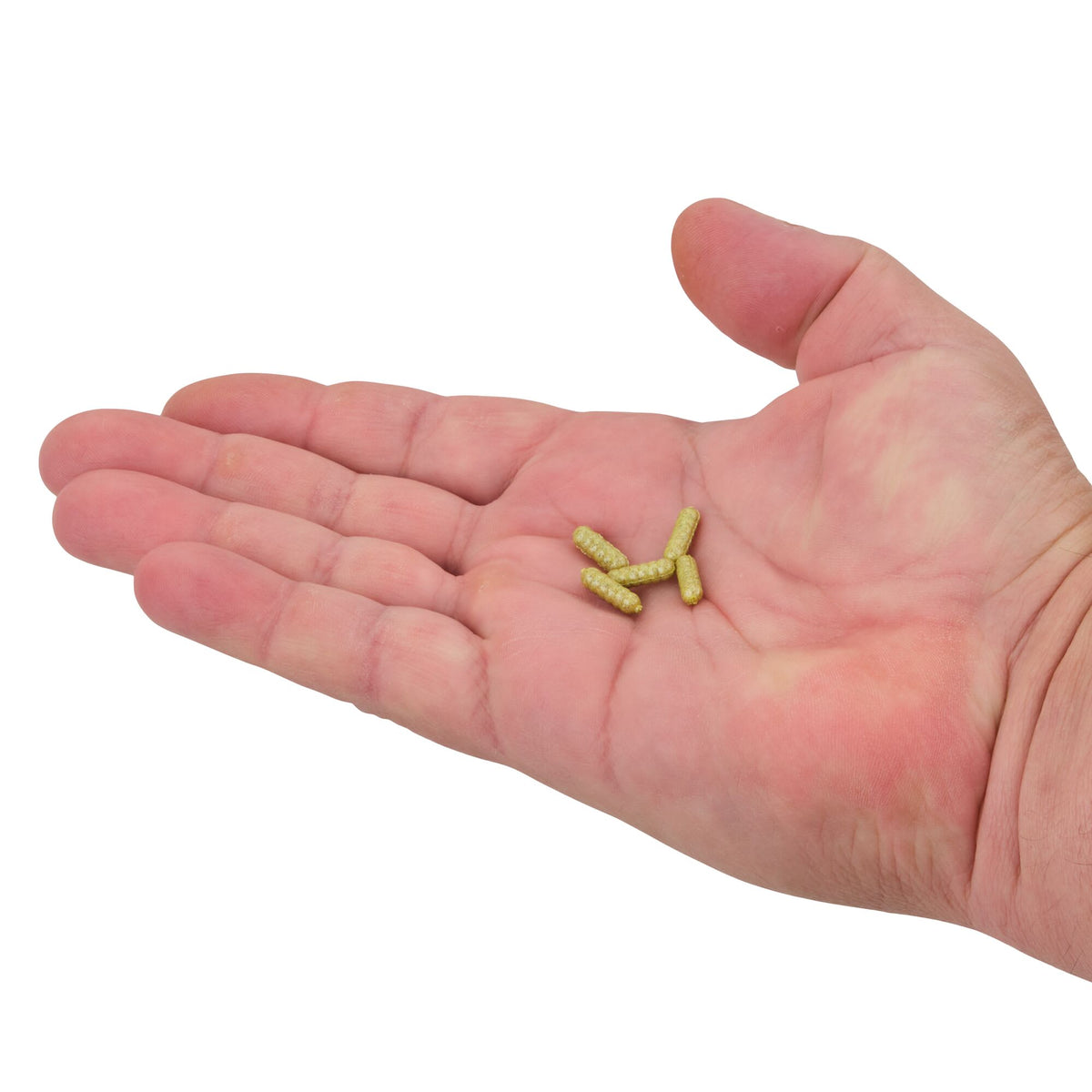 Berkley PowerBait® Power Wigglers®