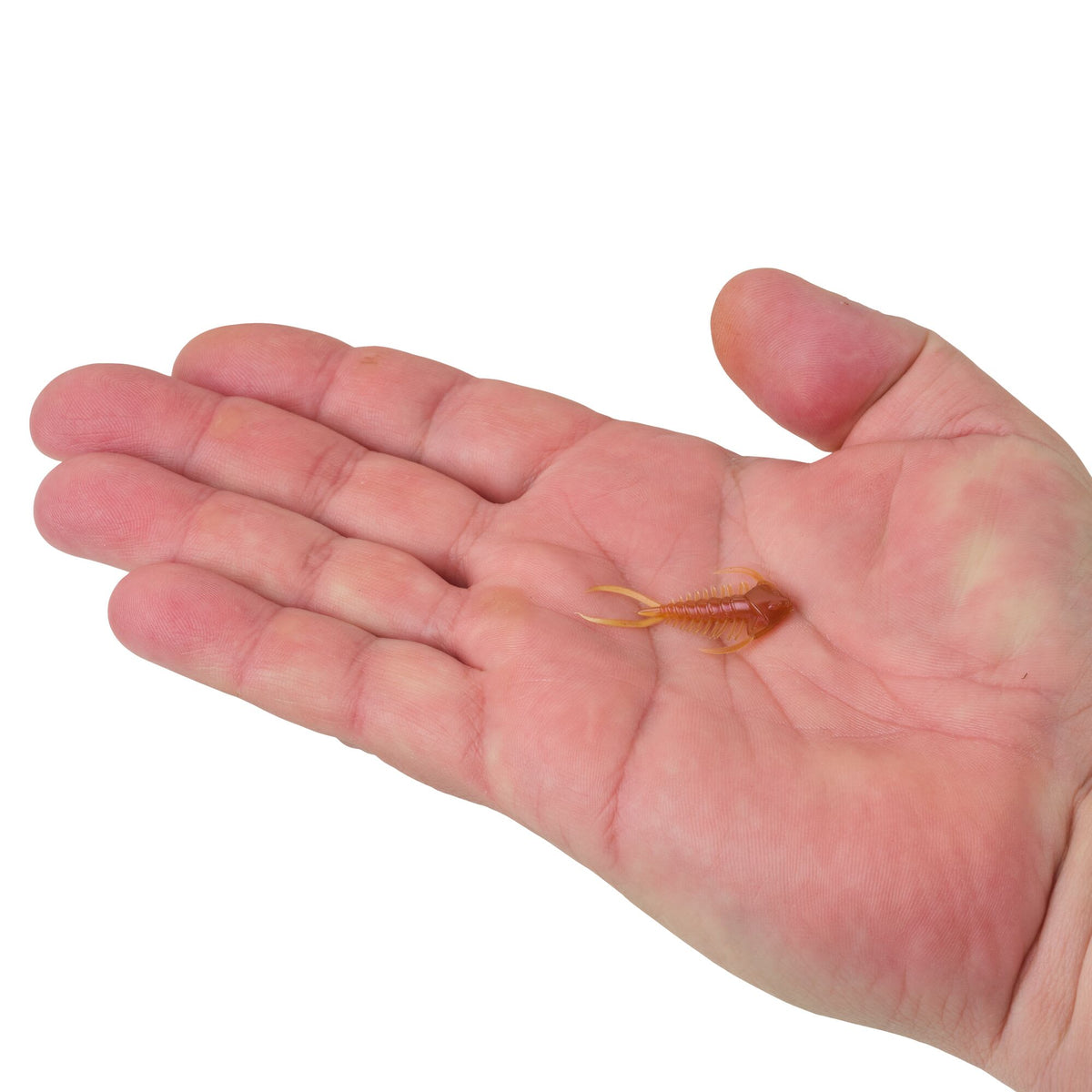 Berkley PowerBait® Trilobite