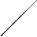 PENN Battalion® II Spinning Rod